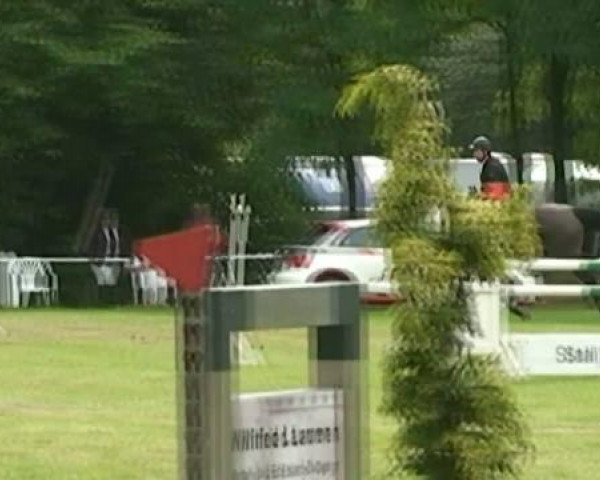 Pfingstturnier 2011 RufV-Ratheim 
Sonntag,den 12.05.2011
28 Springprüfung Kl.S* 
