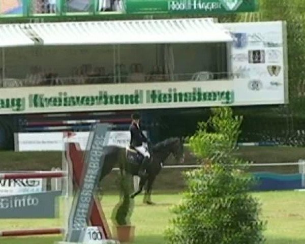 Pfingstturnier 2011 RufV-Ratheim 
Sonntag,den 12.05.2011
26 Zeitspringprüfung Kl.M* 
