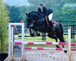 jumper Chardonny Chason (Hessian Warmblood, 2002, from Corelli)