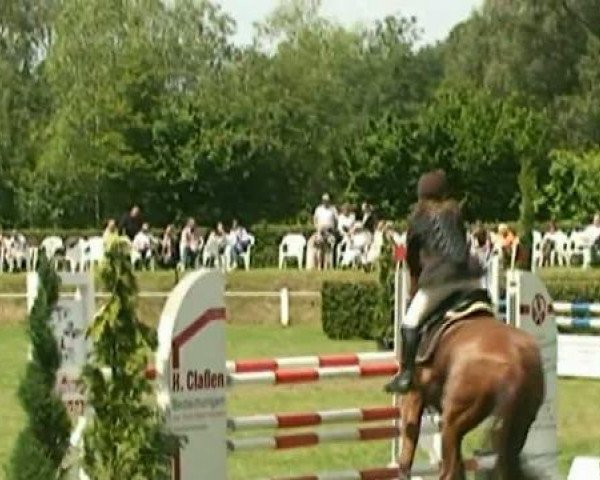 Pfingstturnier 2011 RufV-Ratheim 
Sonntag,den 12.05.2011
25 Springprüfung Kl.L 
