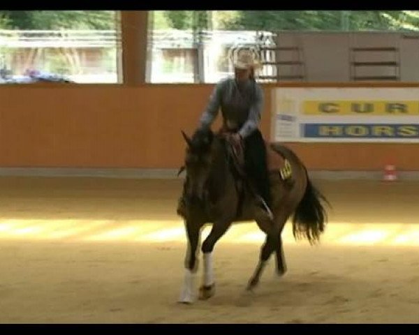 NRHA-NRW DERBY 2011
Freitag, den 22.07.2011
Jackpot Open Teil 1
