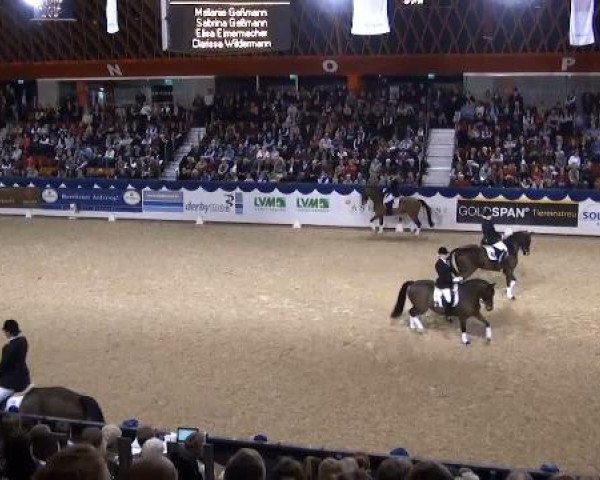 K+K Cup Münster 2012 12.01.2012
01 C Preis der STADT MÜNSTER 
2. Teilprüfung im Mannschaftswettkampf um die Wanderstandarte der Stadt Münster 
Karl-Gessmann-Gedächtnispreis 
Mann.-Dressurprüfung Kl. A* - Kür der Reitervereine
