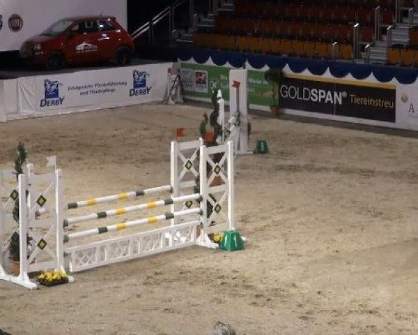 K+K Cup Münster 2012 12.01.2012
06 Preis gegeben vom Sporthaus Verden
Springprüfung Kl. A**
Pferde, die nicht in LP Nr. 4 dieser Ausschreibung gestartet werden
Richtv. 501.A.1 (Fehler/Zeit)