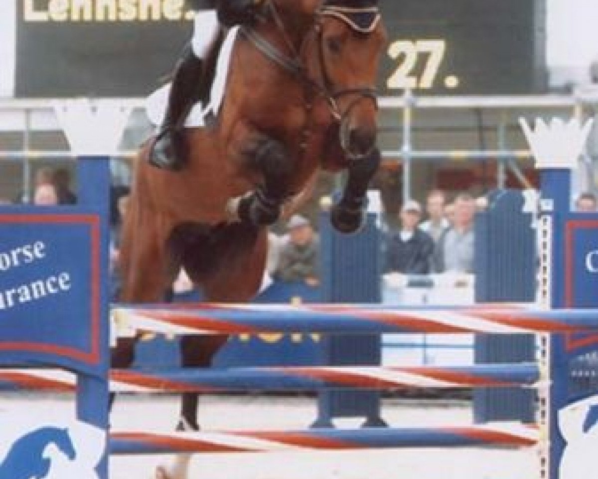 Deckhengst Lorgos GL (Rheinländer, 2001, von Lehnsherr GL)