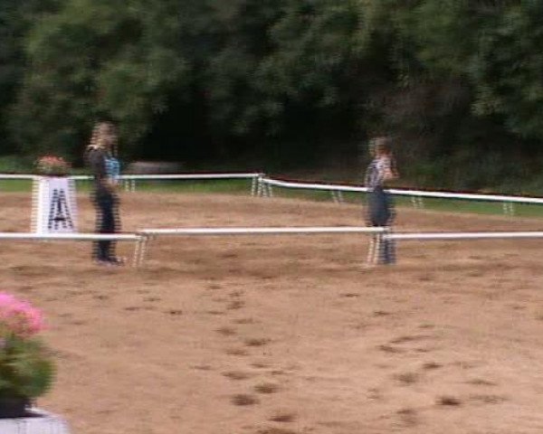 Video of Jasmin