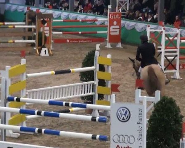Gahlen 2012
Sonntag, den 08.01.2012
11 Springprfg.Kl.S m.St.**
