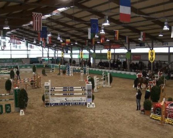 Gahlen 2012
Samstag, den 07.01.2012
06 Zwei-Phasen-Springprfg.Kl.S*
