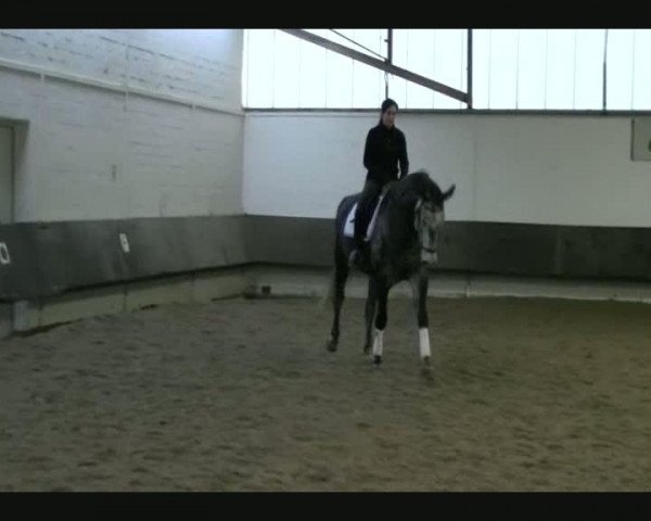 Video of Perfection de Luxe