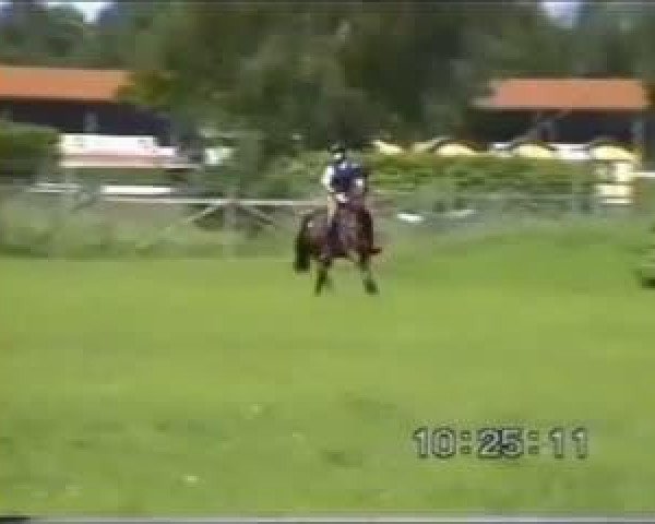 Video of Dunia Littleton