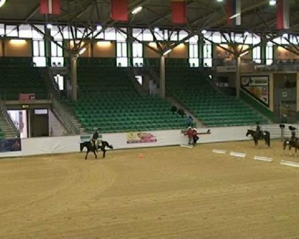 EWU German Open
Donnerstag, den 22.09.2011
Senior Western Riding
