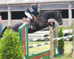 Zuchtstute Quick Girl de Impde (Belgisches Warmblut, 2000, von Kannan)