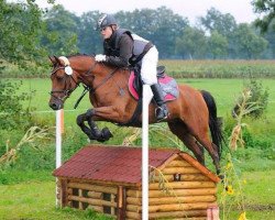 jumper Dschaffar Khan (German Riding Pony, 2005, from Dream of Victoria)