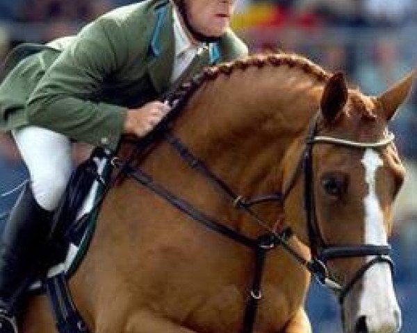 broodmare Anka 191 (Oldenburg, 1991, from Argentinus)
