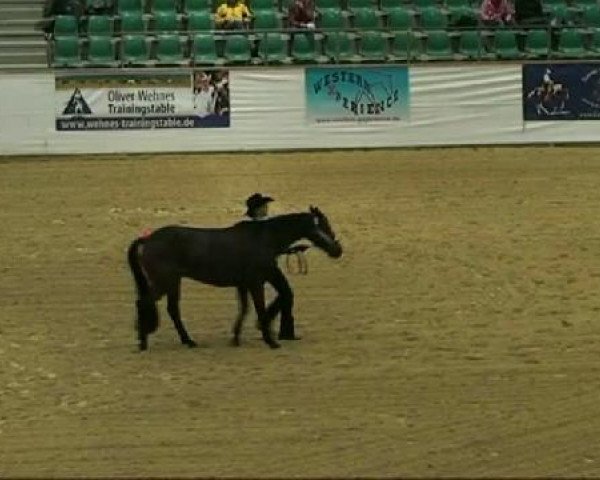 EWU German Open
Montag, den 19.09.2011
Showmanship LK A
