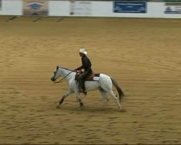EWU German Open
Montag, den 19.09.2011
Superhorse LK A

