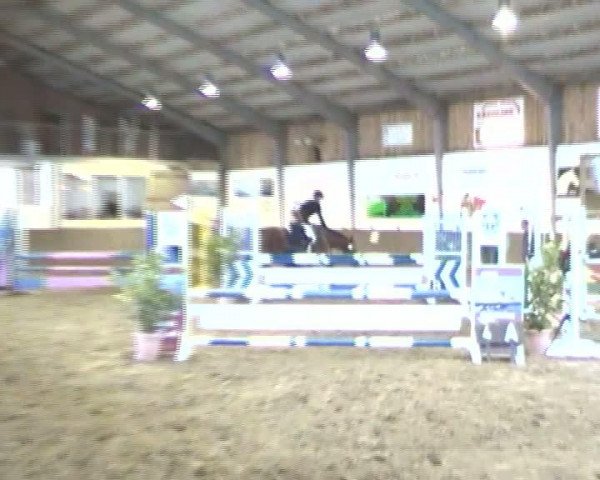 Video of Gipsy 313