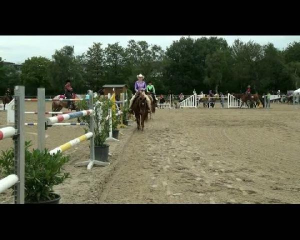 EWU-Rheinlandmeisterschaft 2011
Samstag, den 13.08.2011
Western Horsemanship LK 2a