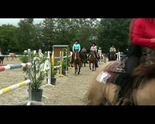 EWU-Rheinlandmeisterschaft 2011
Freitag, den 12.08.2011
Western Horsemanship LK 3a
