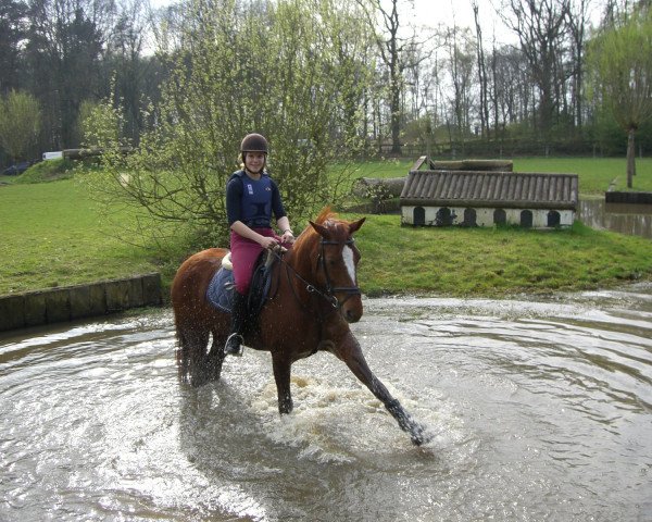 broodmare Riga 29 (Oldenburg, 1993, from Rio Zeus)
