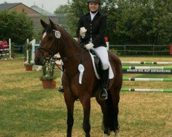 broodmare Chelsy G (Westphalian, 2009, from Chico's Boy)