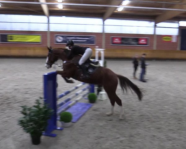 Schloss Wickrath Jumping 2022