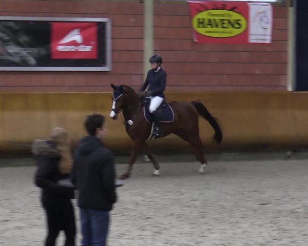 Schloss Wickrath Jumping 2022