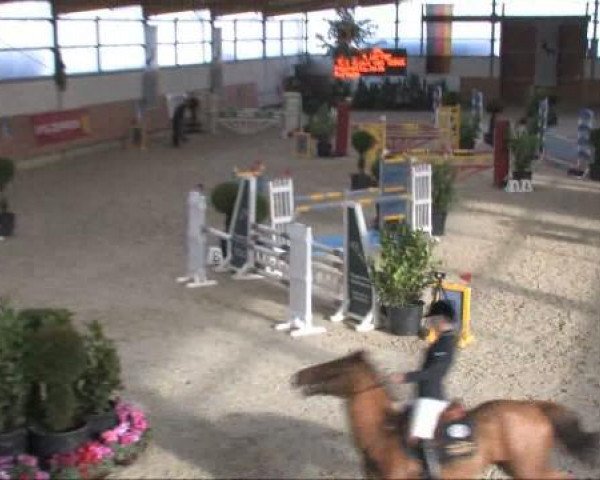 Grevenbroich - Gut Neuhaus 2011
Samstag, den 26.11.2011
15 Ponyspringprüfung Kl.A**