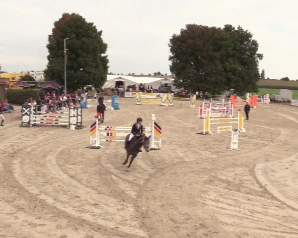 Springreitturnier Hohburg 2021