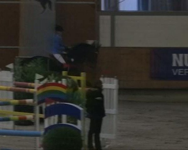 Grevenbroich - Gut Neuhaus 2011
Freitag, den 25.11.2011
09 Springprüfung Kl.S*
