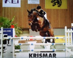 jumper Cruzianer (Oldenburg show jumper, 2006, from Cassinus)