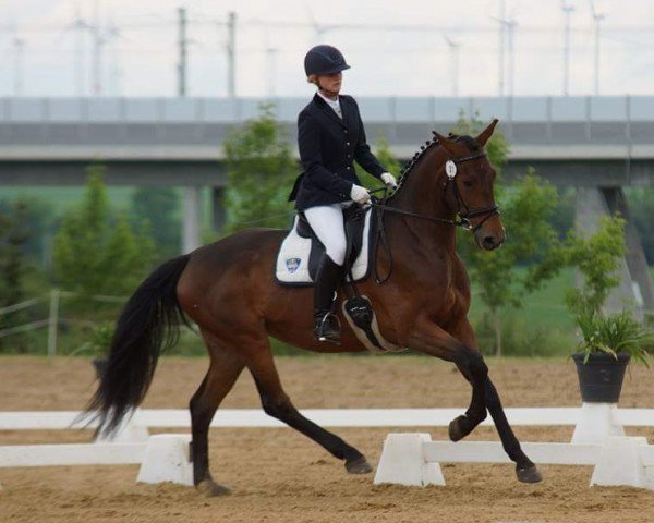 broodmare Daya Fürstina (Oldenburg, 2010, from Flatrate)