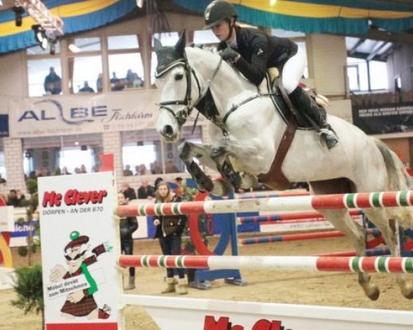 broodmare Chikkimikki (Holsteiner, 2005, from Conello)