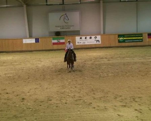 Appaloosa EM 2011
Samstag,den 15.10.2011
Jackpot Reining
