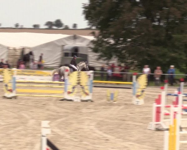 Springreitturnier Hohburg 2021