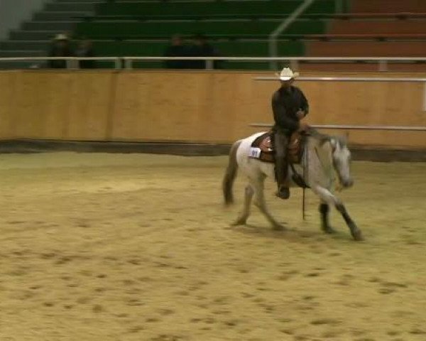 Appaloosa EM 2011
Samstag,den 15.10.2011
Jackpot Reining
