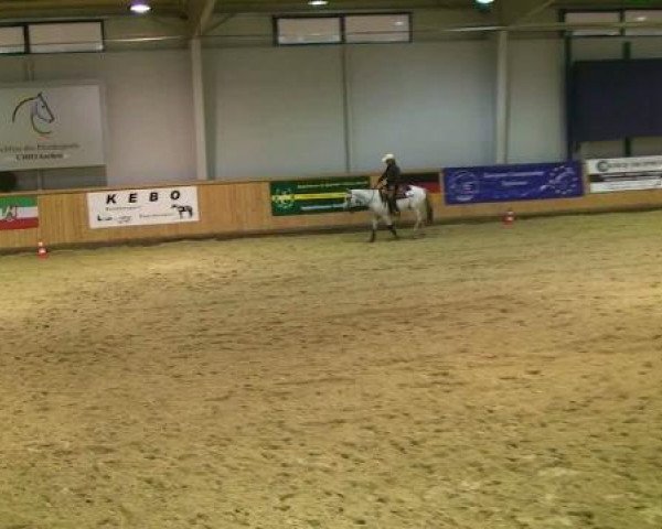 Appaloosa EM 2011
Freitag,den 14.10.2011
NON-PRO Reining
