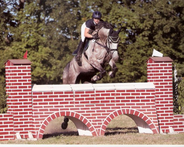 broodmare White Winnipeg (Holsteiner, 2006, from Lacapo)
