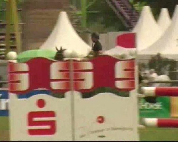 Bietigheim-Bissingen
Sonntag,den 04.09.2011
09 Springprüfung Kl.S*
