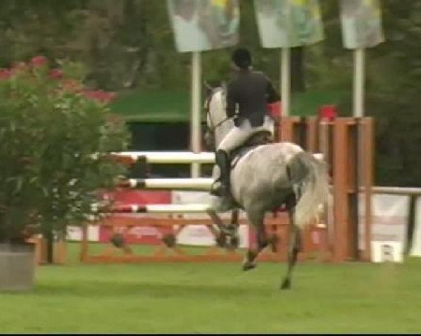 Bietigheim-Bissingen
Sonntag,den 04.09.2011
09 Springprüfung Kl.S*
