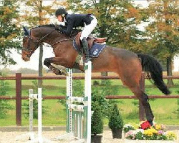 horse *Utasha (Oldenburg, 2009, from Ustinov)