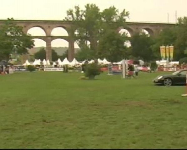 Bietigheim-Bissingen
Sonntag,den 04.09.2011
01 Springprf. Kl.S*** m.Siegerrunde Großer
