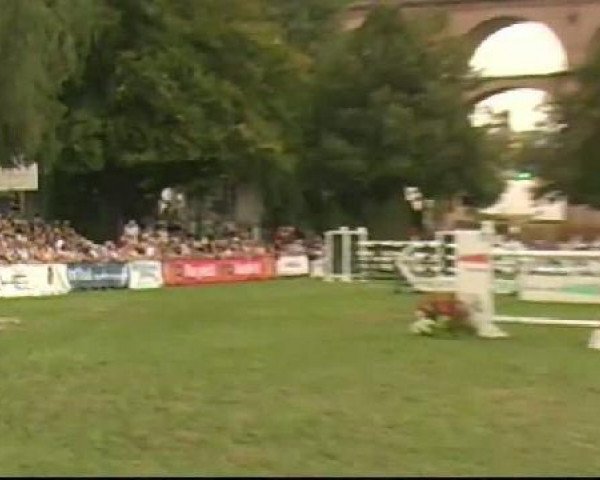 Bietigheim-Bissingen
Sonntag,den 04.09.2011
01 Springprf. Kl.S*** m.Siegerrunde Großer
