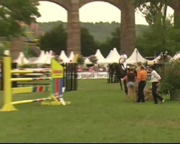 Bietigheim-Bissingen
Sonntag,den 04.09.2011
01 Springprf. Kl.S*** m.Siegerrunde Großer

