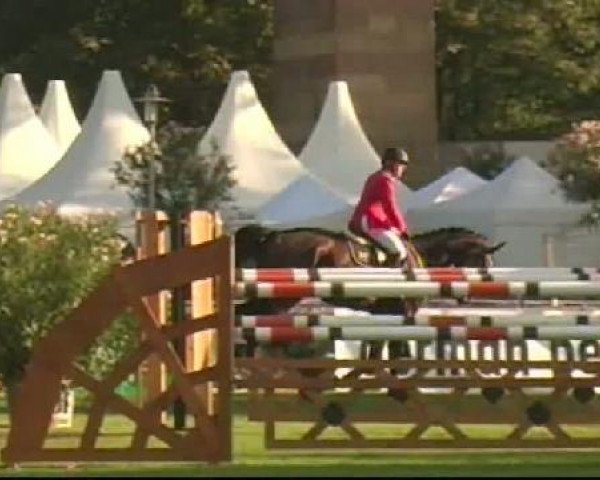 Bietigheim-Bissingen
Samstag,den 03.09.2011
13 Springpferdeprüfung Kl.M*
