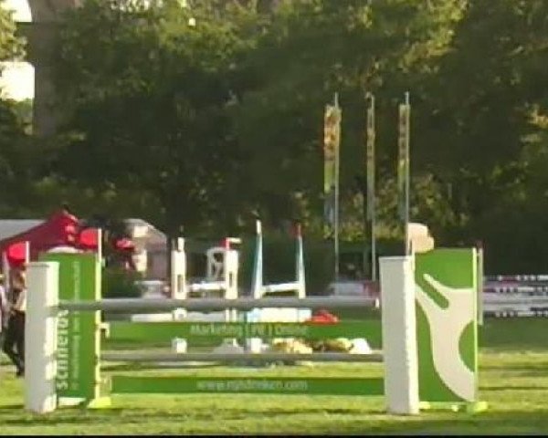 Bietigheim-Bissingen
Samstag,den 03.09.2011
13 Springpferdeprüfung Kl.M*
