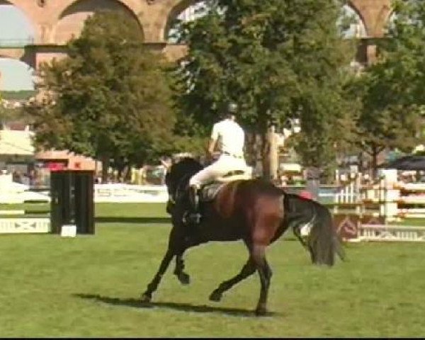 Bietigheim-Bissingen
Samstag,den 03.09.2011
06 Springprüfung Kl.S* German Horse Pellets
