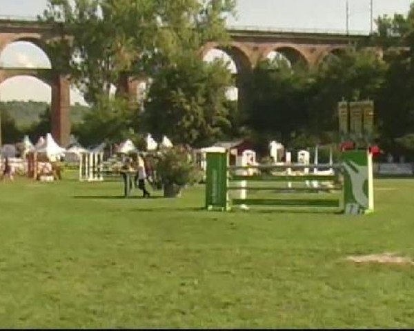 Bietigheim-Bissingen
Samstag,den 03.09.2011
06 Springprüfung Kl.S* German Horse Pellets
