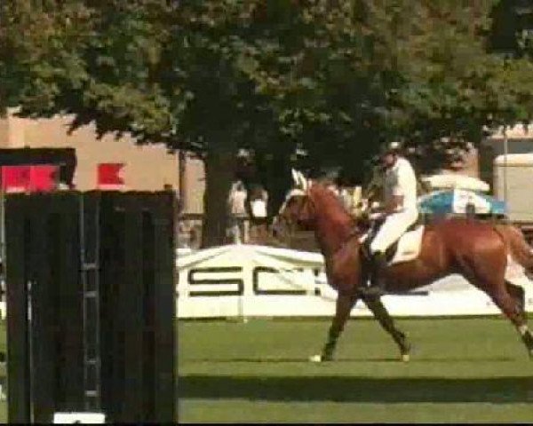 Bietigheim-Bissingen
Samstag,den 03.09.2011
06 Springprüfung Kl.S* German Horse Pellets
