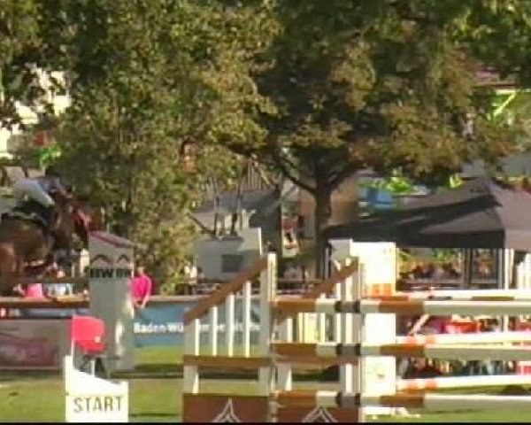 Bietigheim-Bissingen
Samstag,den 03.09.2011
06 Springprüfung Kl.S* German Horse Pellets
