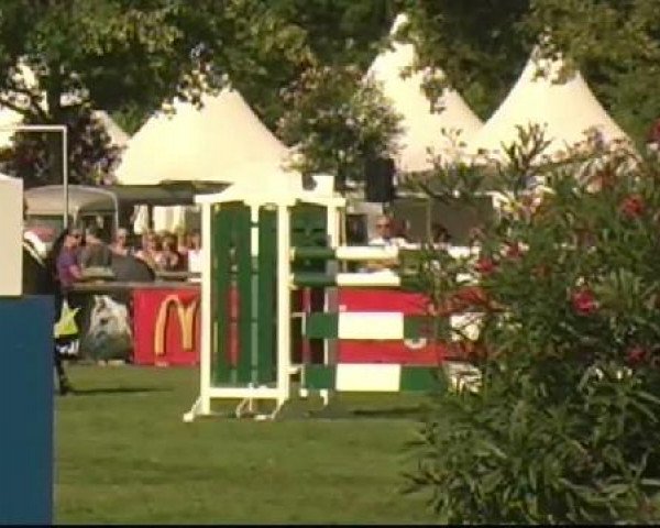 Bietigheim-Bissingen
Samstag,den 03.09.2011
02 Springprfg.Kl.S m.St.** Qualifikationspringen
